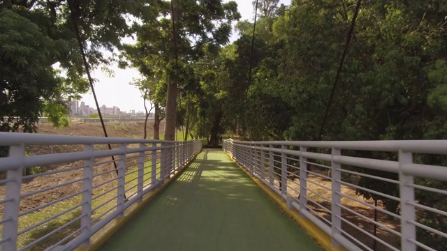 骑自行车/跑步的人通过自行车道桥，通勤。盘子，晴天，树。视频下载