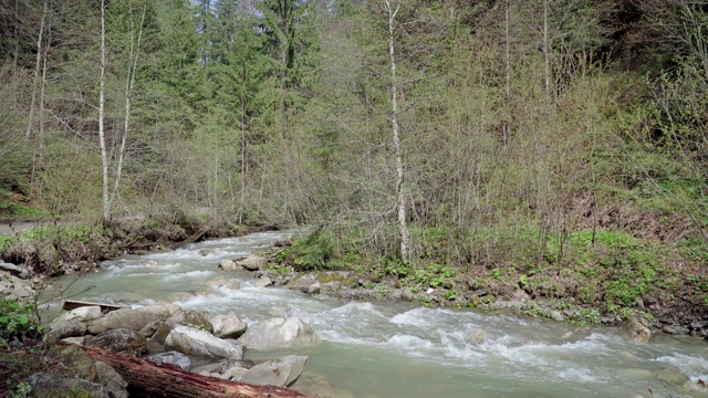 森林里狂风暴雨的山河视频素材