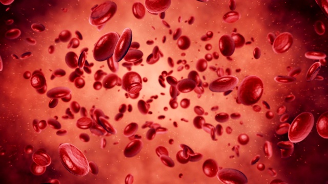 血细胞视频素材