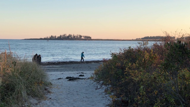 秋天，一群人在美国缅因州伊丽莎白角附近的新月海滩散步视频下载