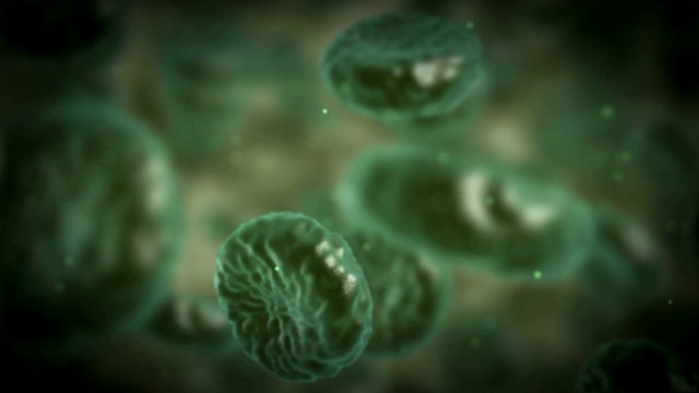 绿色疾病血细胞在血管或动脉中流动。3d渲染高清镜头。医疗保健和医疗理念。视频下载