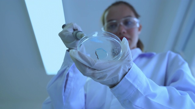 倾斜视频拍摄的女性医学研究科学家加入移液管滴一种有色液体到培养皿进行科学实验视频素材