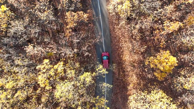 一辆红色的小车在一个阳光明媚的日子里穿过秋天的红色森林。视频素材