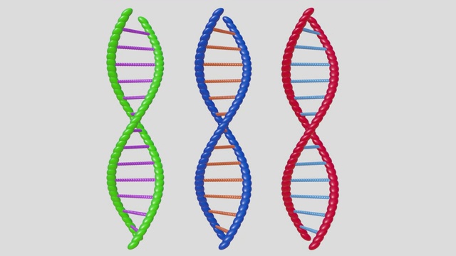 3d动画DNA双螺旋视频下载