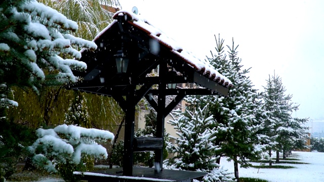正式花园的下雪天视频素材