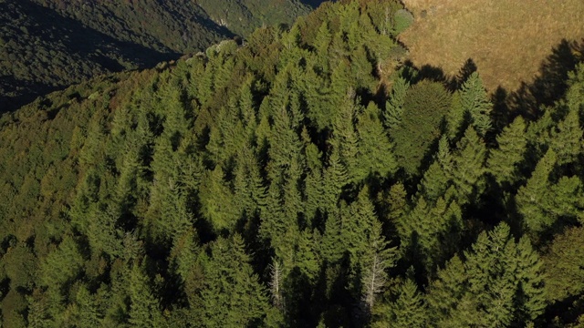 日落时分，无人机拍摄的森林和山顶视频素材