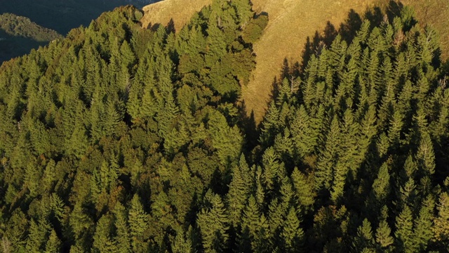 山顶和森林的无人机视图视频素材