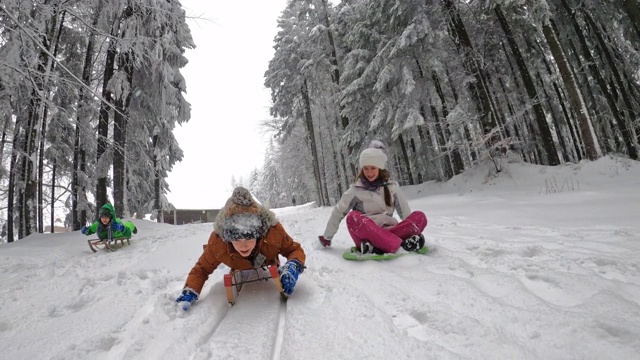 孩子们喜欢在冬天的森林里拉雪橇。视频下载