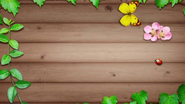 瓢虫和蝴蝶在木板上移动视频下载