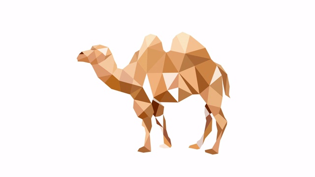 骆驼的多边形艺术。白色背景上的动画。视频素材
