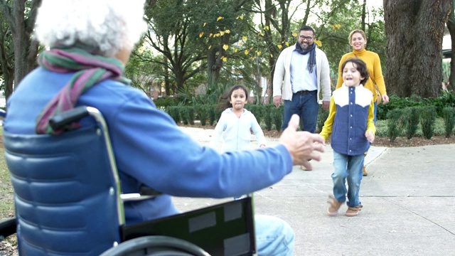 一个坐轮椅的老人和他的家人在公园里视频素材