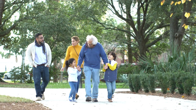 三代拉美裔家庭在公园散步视频素材