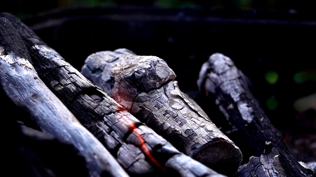烧烤煤火烟和灰烬视频素材