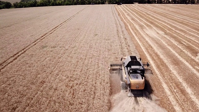 新的联合收割机在田里收割小麦视频素材