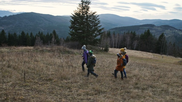一家人在美丽的大自然中徒步旅行视频素材
