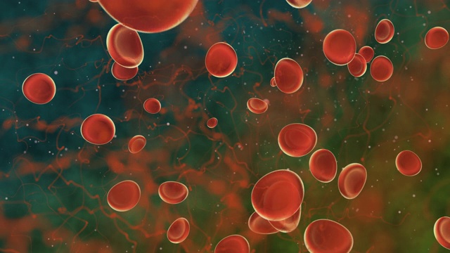 静脉内3D红细胞。防病毒医疗保健理念。视频素材
