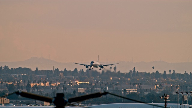 LS客机降落在洛杉矶国际机场与剪影的电线杆在前景和鸟类交叉框架视频素材