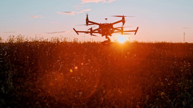 日落时分，超级SLO MO无人机在油菜田上空起飞视频下载