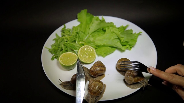 盘子里的蜗牛和绿色蔬菜视频素材