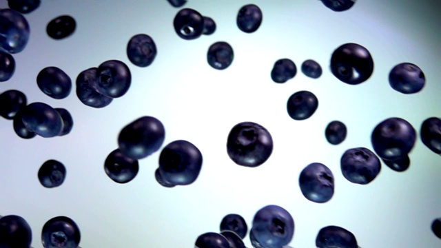 大蓝莓在白色的背景上飞翔视频下载