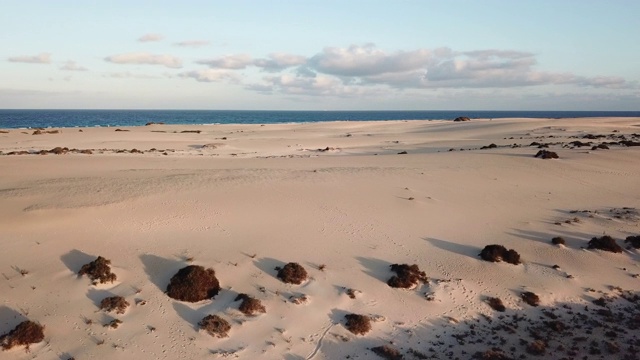 加那利群岛富埃特文图拉大西洋附近的科拉雷霍沙丘。鸟瞰图视频下载