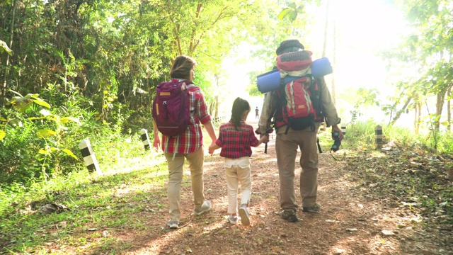 后视图:爷爷奶奶周末和孙女一起徒步旅行，在阳光下的森林里散步视频下载