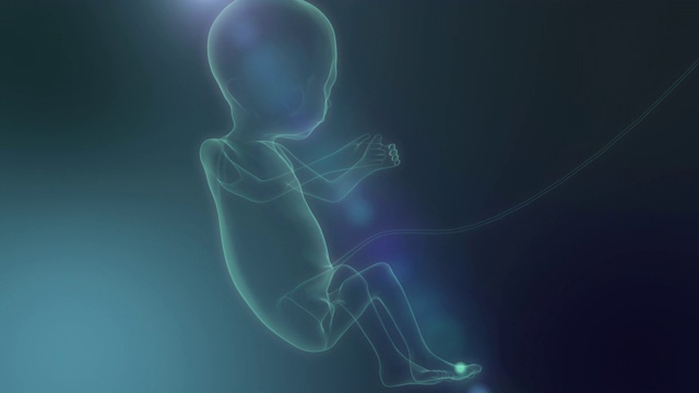《新生小婴儿》在X射线上，未来概念，3D动画。4 k视频下载