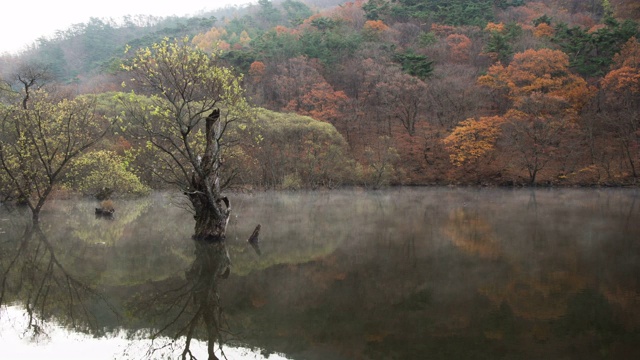 韩国，庆尚北道，朱旺山国家公园，清松郡，三池湖上的水雾视频素材