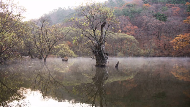 韩国，庆尚北道，朱旺山国家公园，清松郡，三池湖上的水雾视频素材