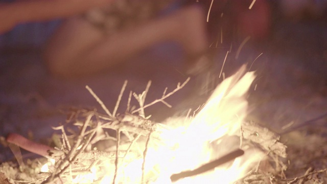 沙滩派对上，一群留着长发绺的嬉皮士在篝火旁烤热狗视频下载