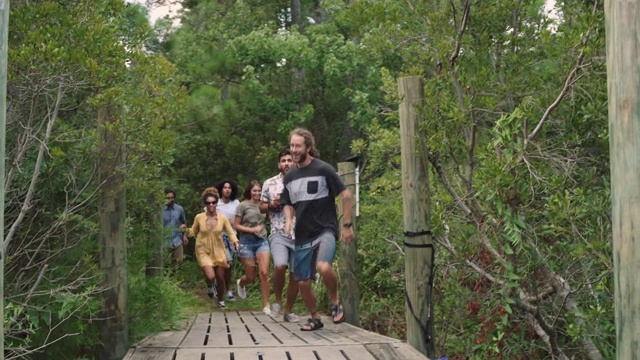一群不同种族的朋友追逐着他们的狗，嬉闹着跑下了沼泽上的一个码头视频下载