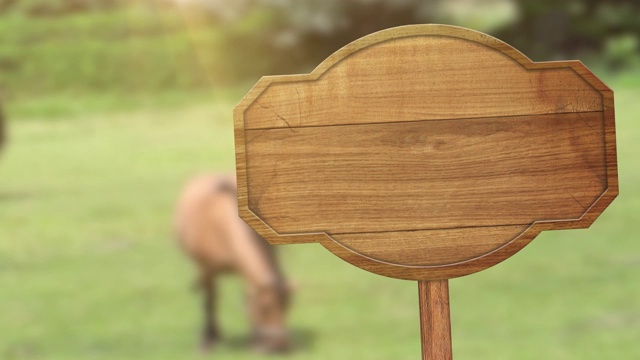 木制标志指针在草地和放牧的马的动画背景，摄像机从左到右移动视频下载