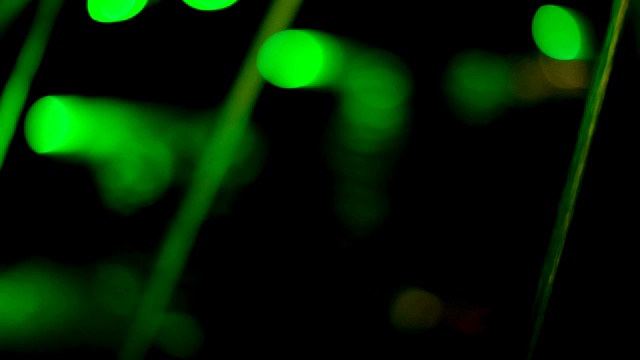 模糊的背景。散焦散焦灯光背景。绿色的抽象的闪光。视频素材