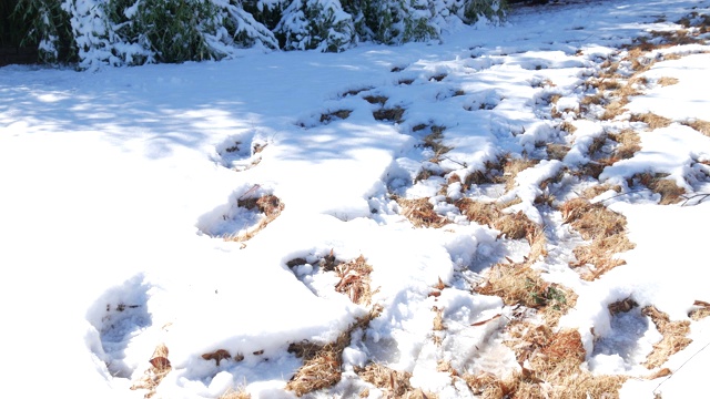 刚下过雪的地面上有稳定的鞋印视频素材