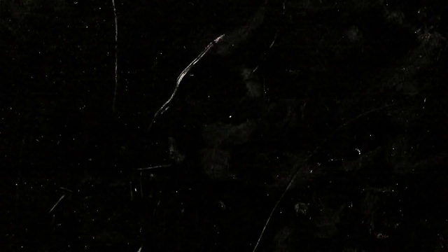 在黑色的背景上，闪烁的划痕和棉绒模仿老电影的破败画面视频素材