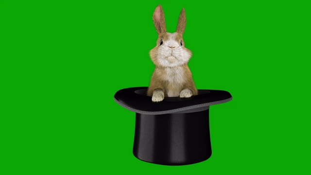 小兔子从魔术师的帽子里出来了视频素材