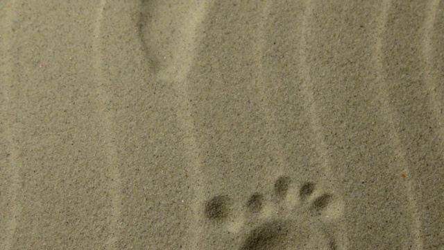 全景，程式化的一个人的脚印，痕迹延伸到远处。沙滩上的脚印。视频下载