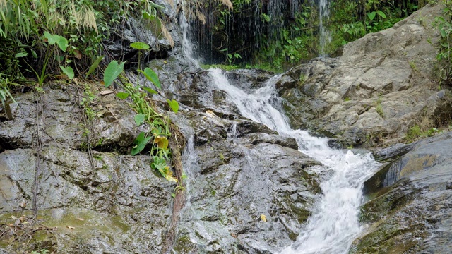 瀑布在潮湿的岩石上的绿色森林视频素材