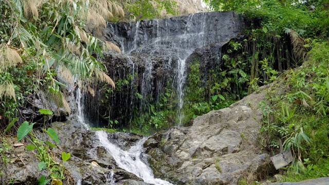 热带森林中的小瀑布视频素材