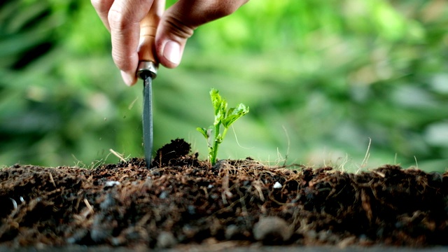 树木种植设备和红桶浇植物在模糊的绿色自然背景。种植植物拯救地球的理念。世界环境日概念视频素材