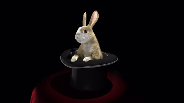 小兔子从魔术师的帽子里出来了视频素材