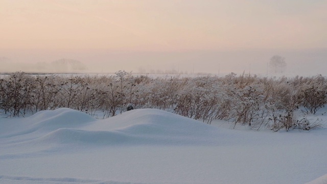 干草在一层雪下的田野里。美丽的冬天的风景。视频素材