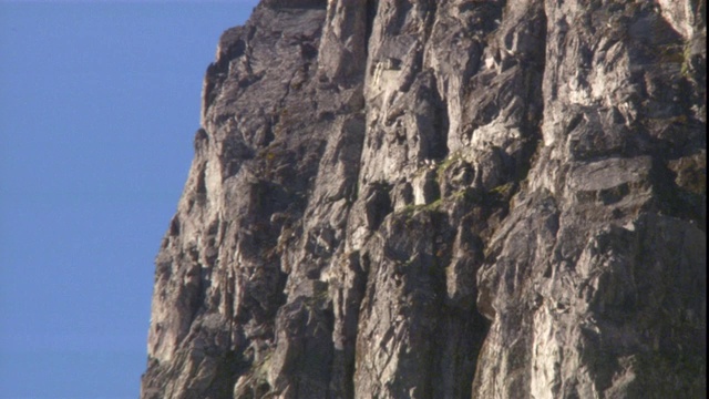 攀岩队的队员们在悬崖底部穿行。视频素材