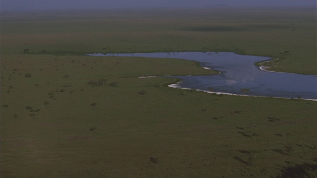 一条河流蜿蜒穿过塞伦盖蒂国家公园。视频下载