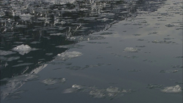 阿拉斯加威廉王子湾漂浮着冰块。视频下载