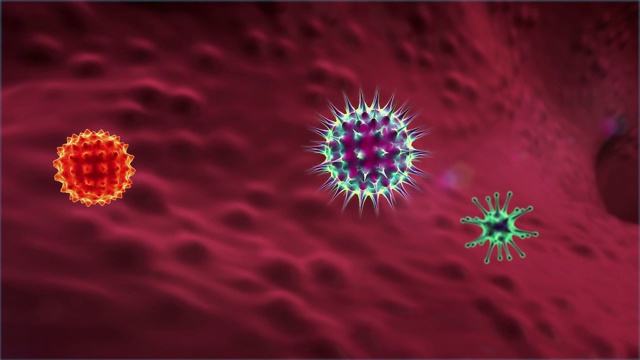 吞噬细胞和病毒视频素材