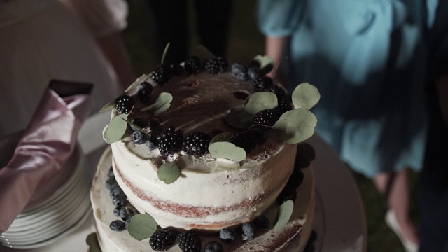 婚礼派对上的婚礼蛋糕视频素材