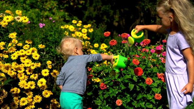 小弟弟和小妹妹在花园里用小喷壶浇花视频素材
