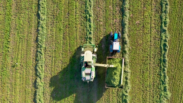 收割机收集割下的草，并把它倒进拖拉机拖车空中俯瞰视频素材