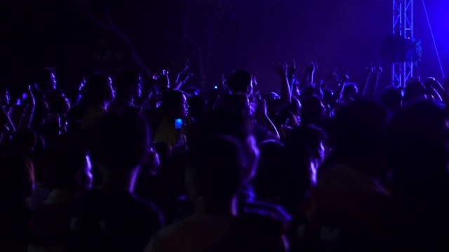 群众享受摇滚音乐会的坦率图像视频下载
